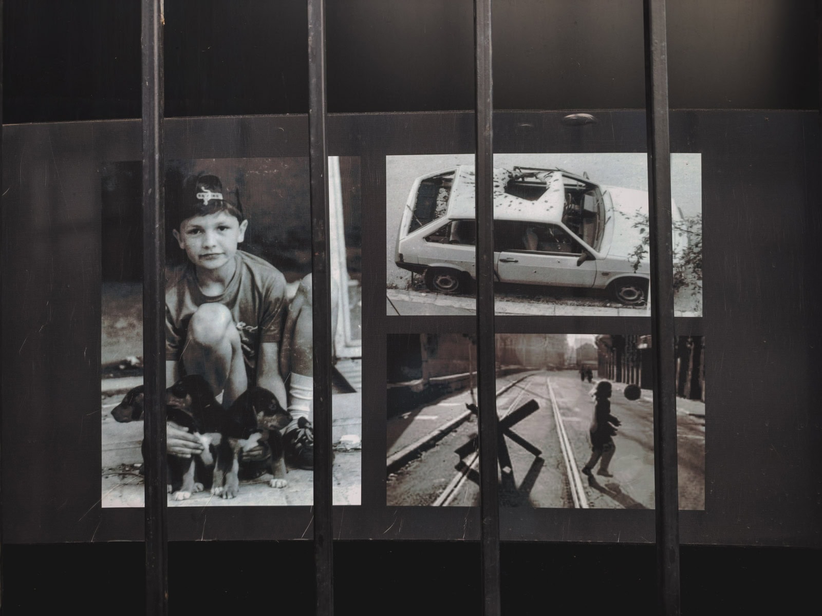 Bosnia Herzegovina Canada Role