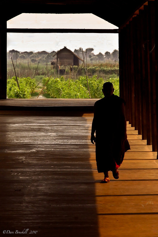 things to do in chiangmai meditation