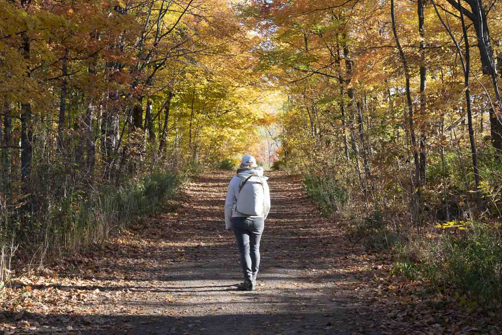 Best Places to Travel In October USA