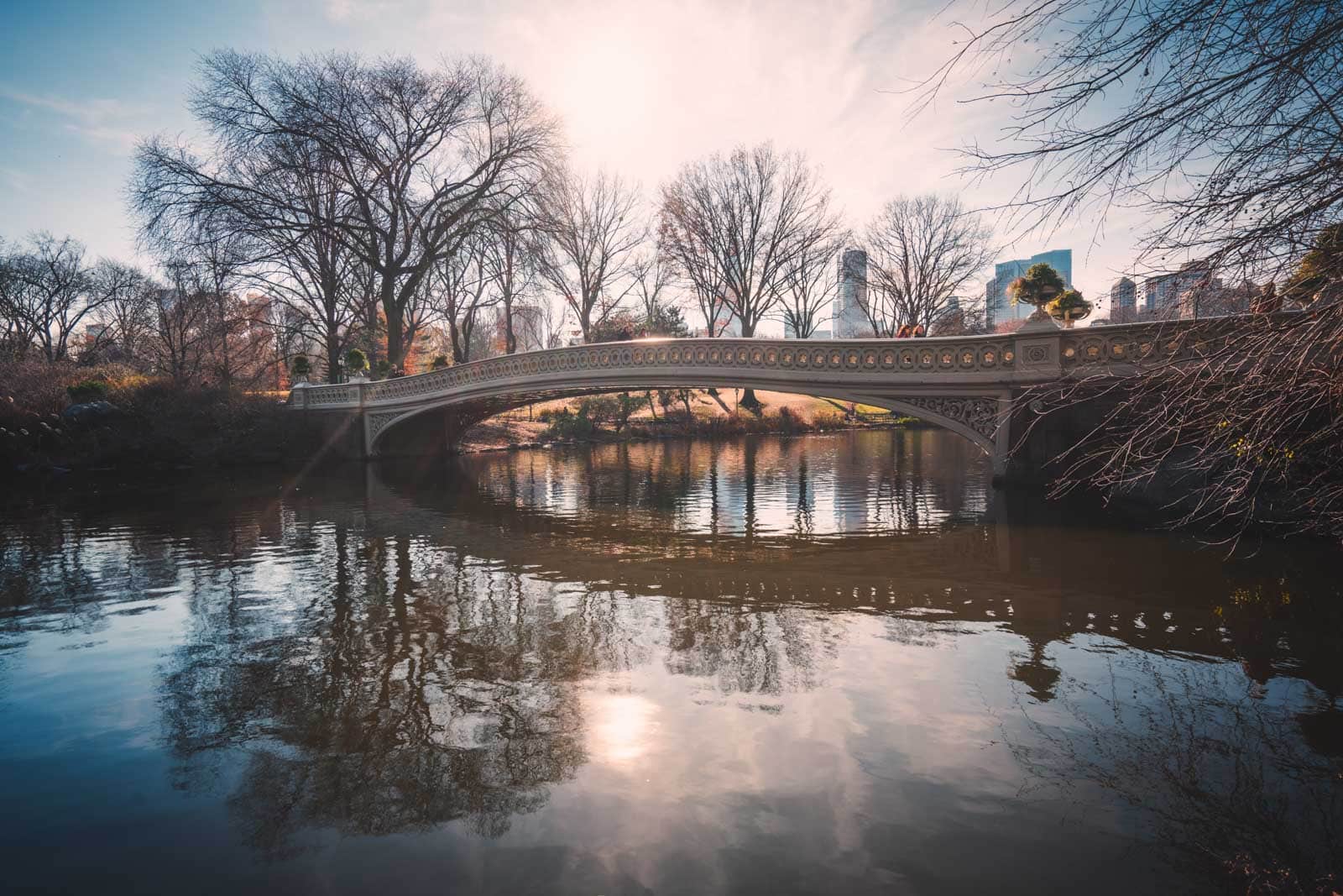 Fall colors in central park New York City