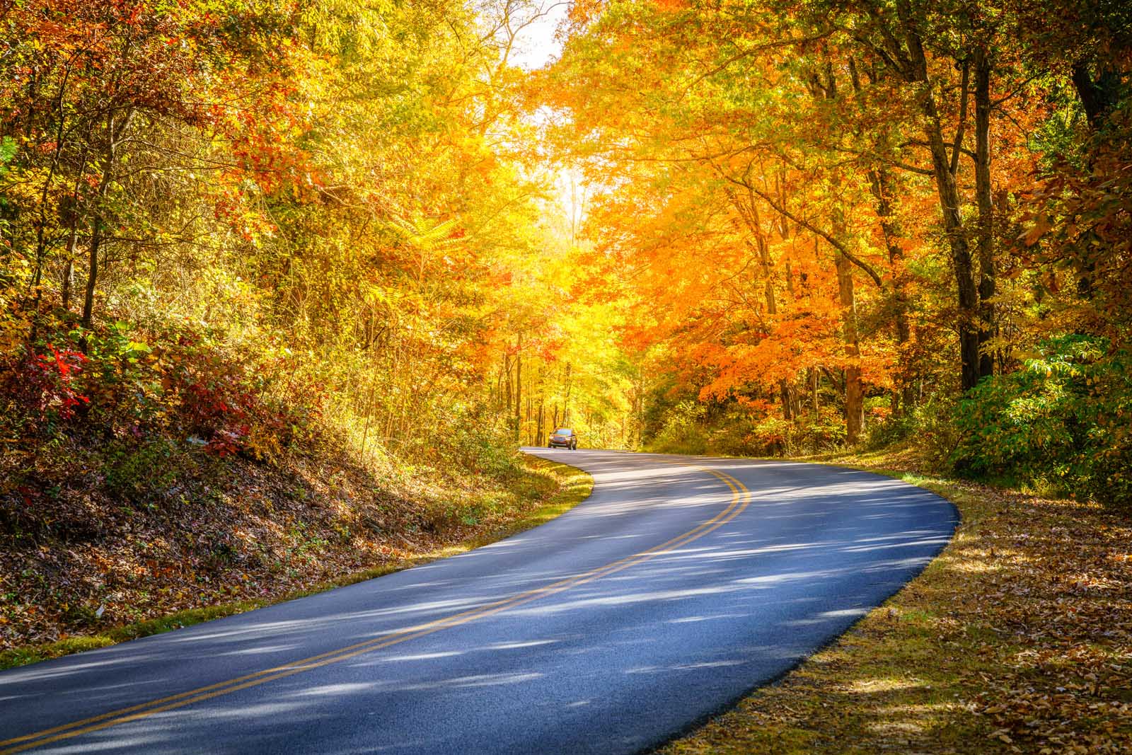 Blue Ridge Mountains skyline with vibrant fall colors near Asheville, North Carolina