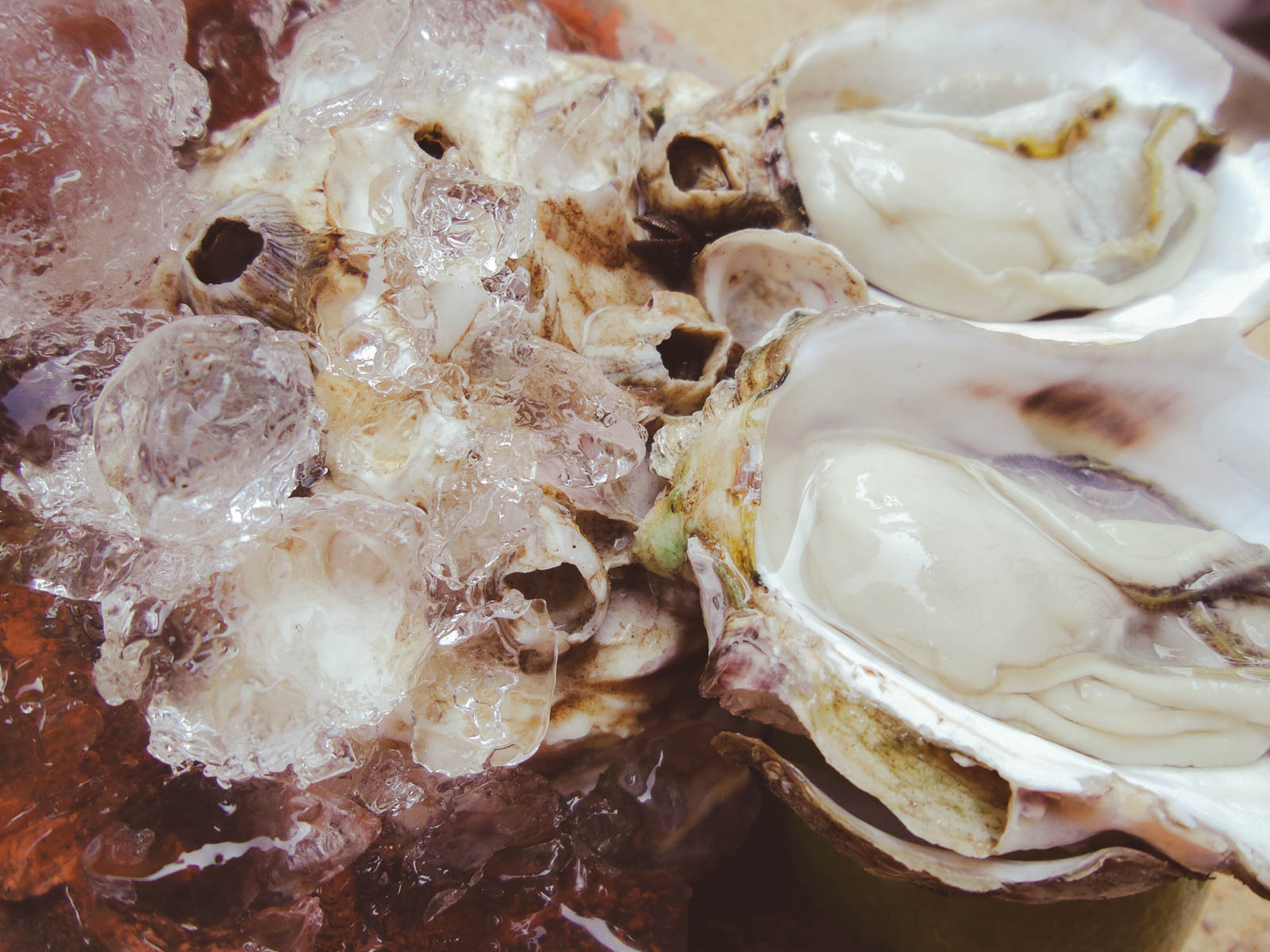 A platter of freshly shucked oysters served on a bed of ice with lemon wedges, a classic French seafood.