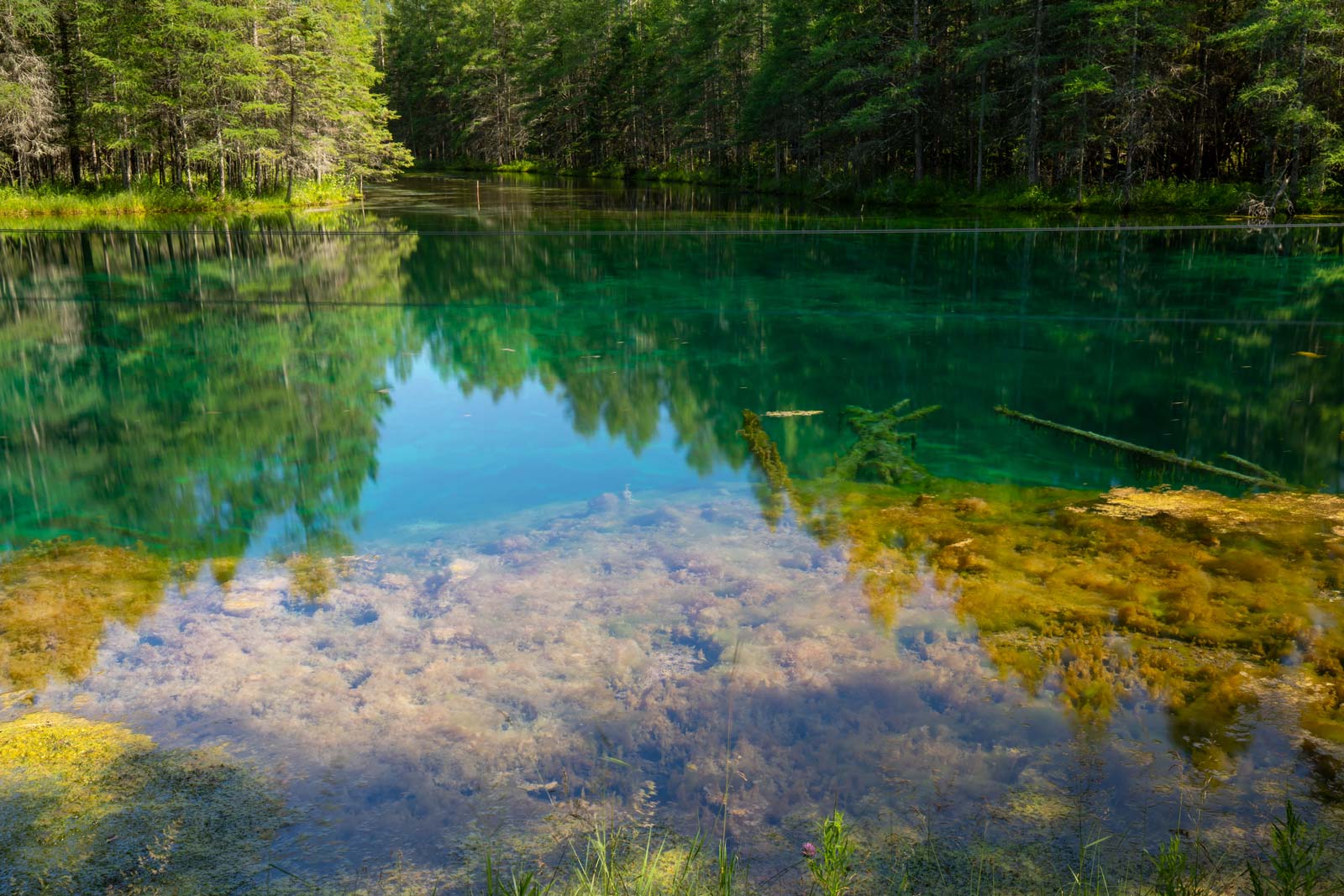Looking down into the crystal-clear, emerald waters of Kitch-iti-kipi, Michigan's Big Spring