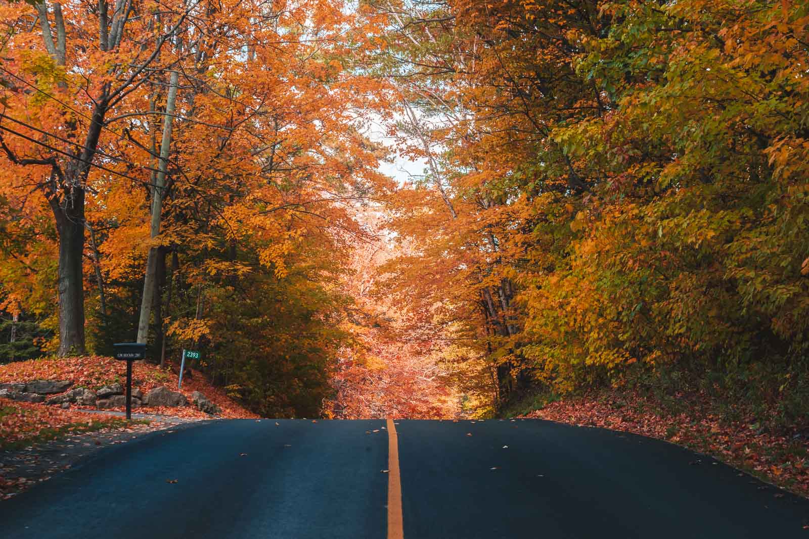 Classic colorful autumn trees in rural Vermont during peak foliage