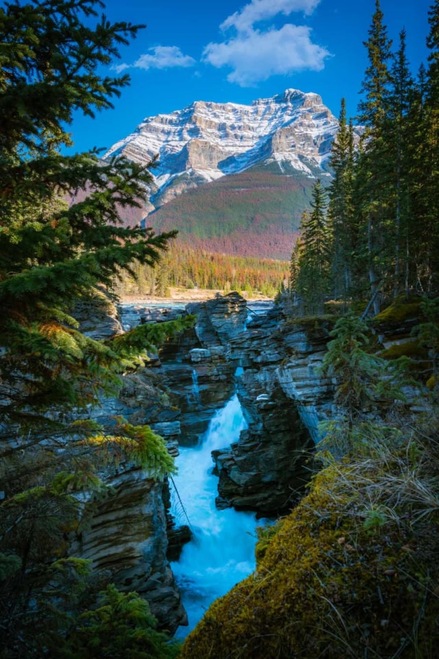The powerful turquoise water of the Athabasca River roaring through the narrow canyon at Athabasca Falls.