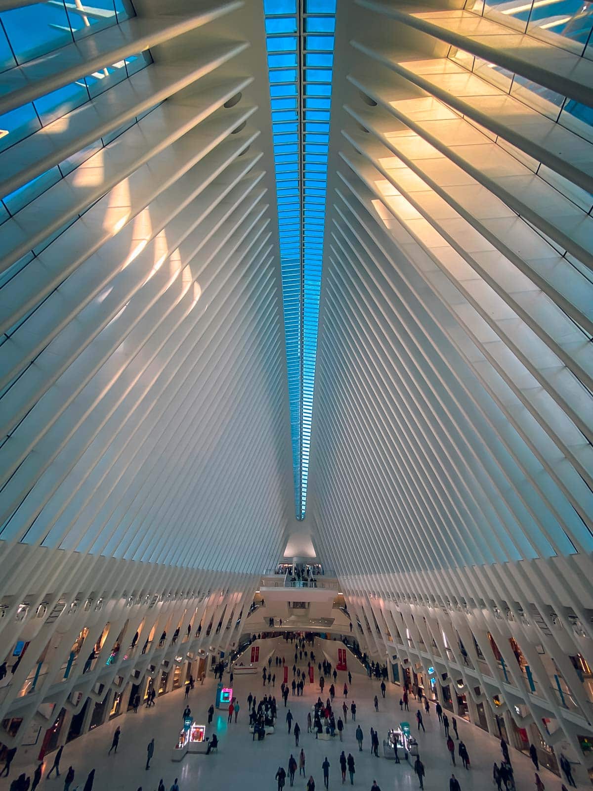 The soaring, white-ribbed interior architecture of the Oculus at the World Trade Center, decorated for the holidays.