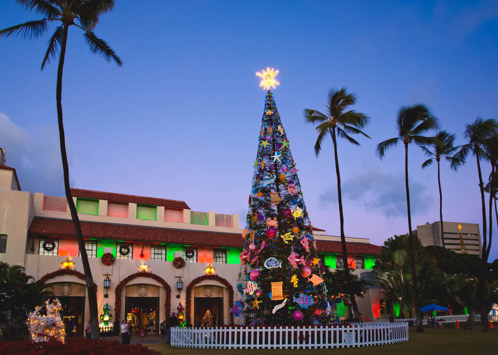 The famous christmas tree decorated for the Mele Kalikimaka celebration in Honolulu, a great place to go in December.